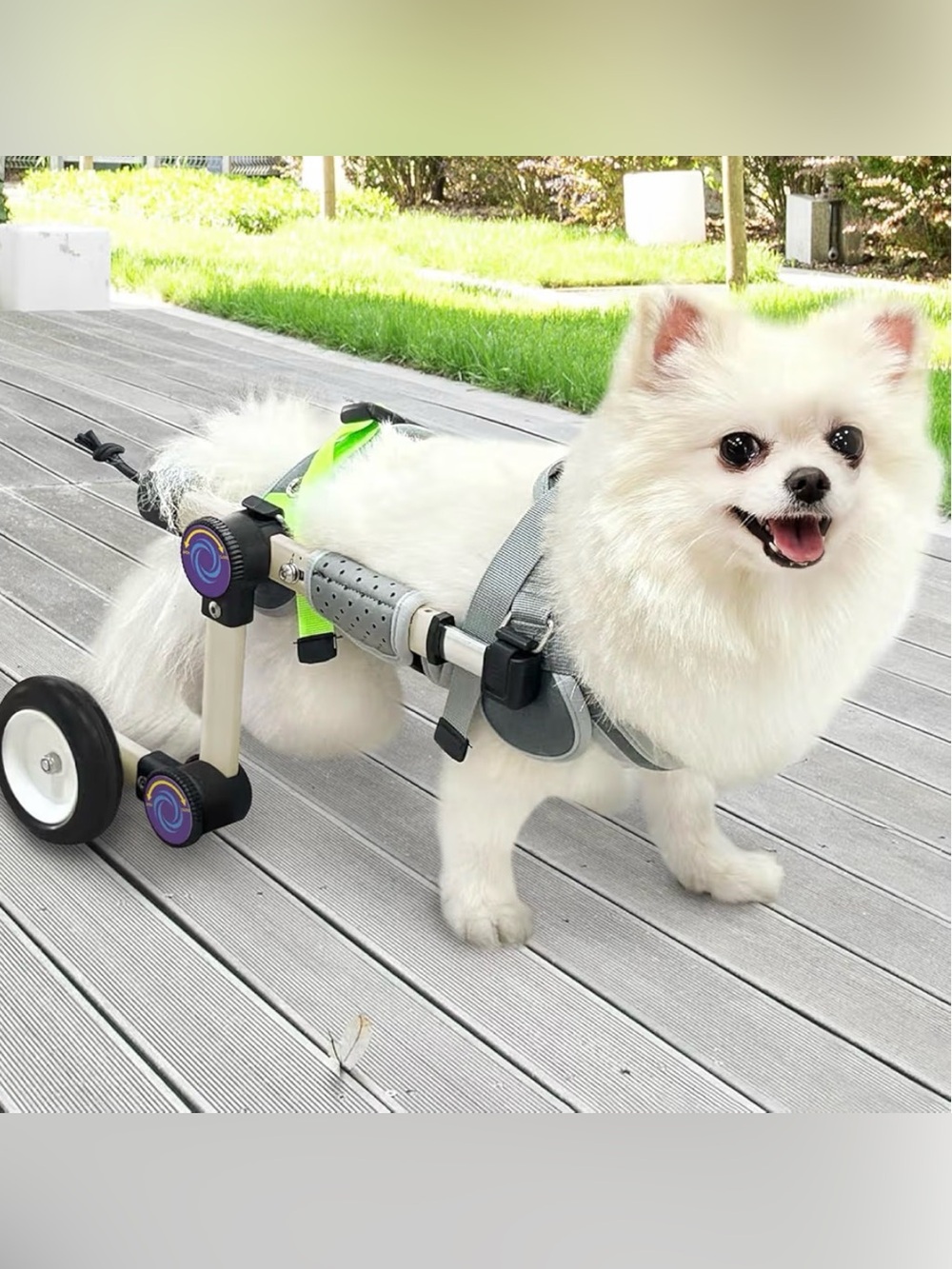 Adjustable Dog Wheelchair Harness for Small Dogs - Gray and Neon Green